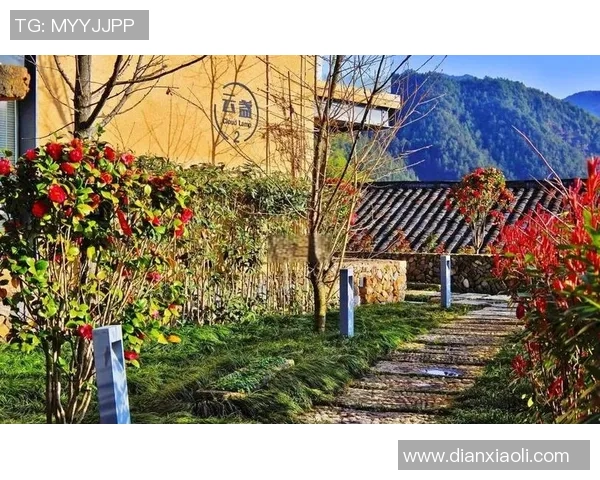 1200人齐聚松阳！在“古典我国”的诗意长廊里，赴一场“定向”之约